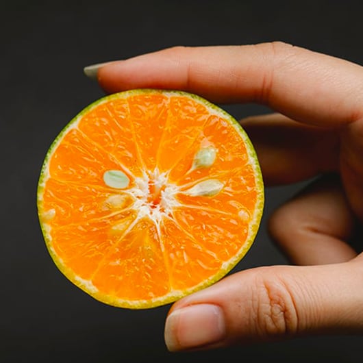 Quelles pierres choisir pour maigrir  ?